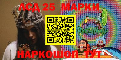 шишки Изобильный