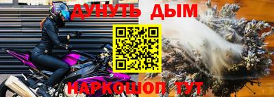 шишки Изобильный