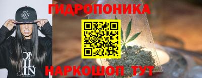 шишки Изобильный