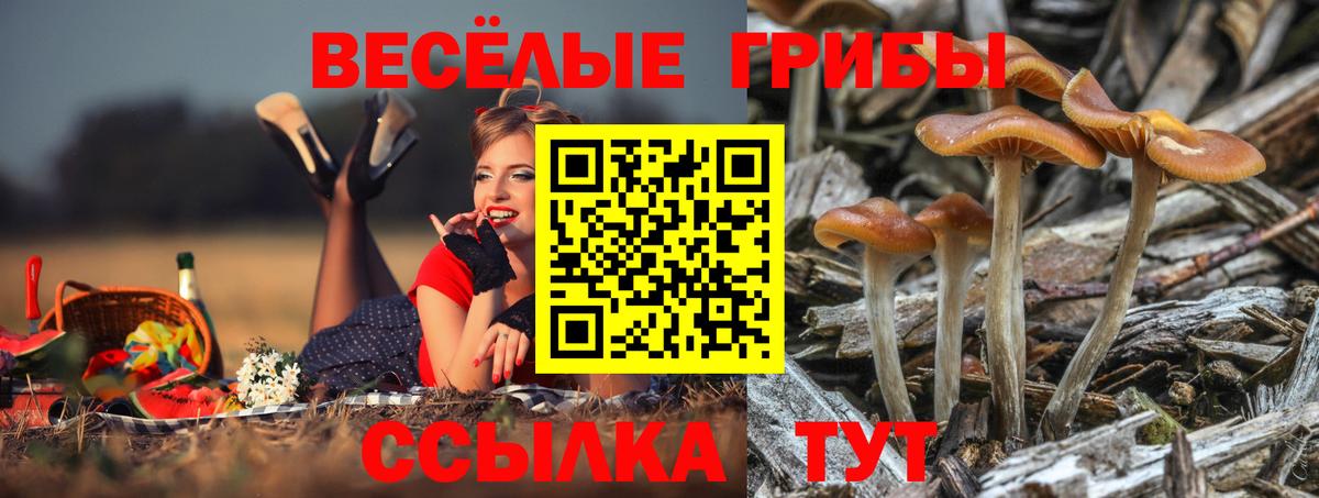 Псилоцибиновые грибы Magic Shrooms Саянск