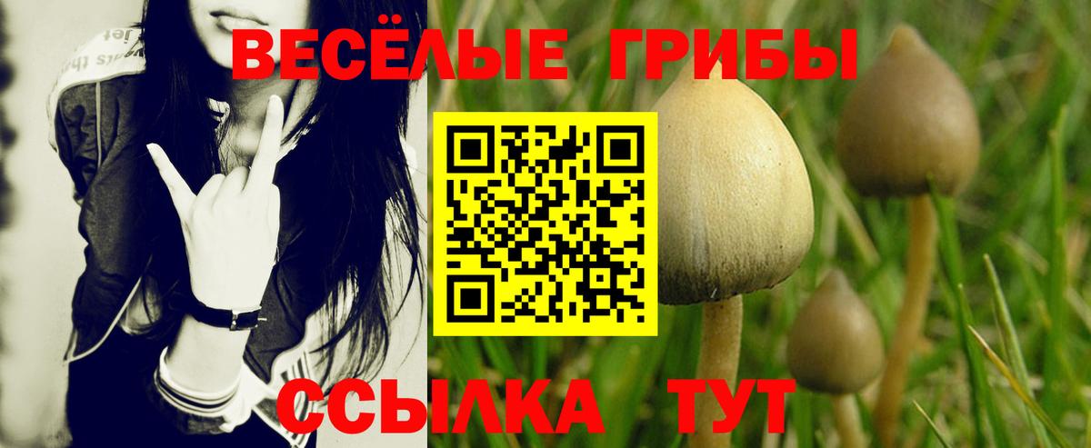 Галлюциногенные грибы Cubensis  Вход с VPN  Саянск 